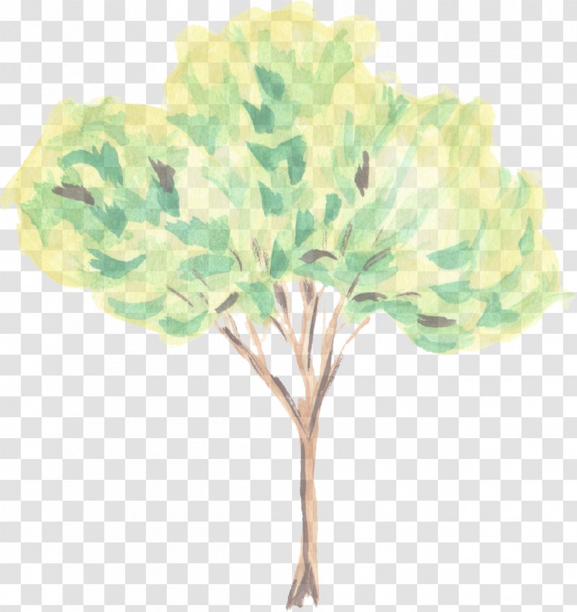 Green Leaf Tree Plant Flower - Watercolor Paint - Stem Hydrangea Transparent PNG