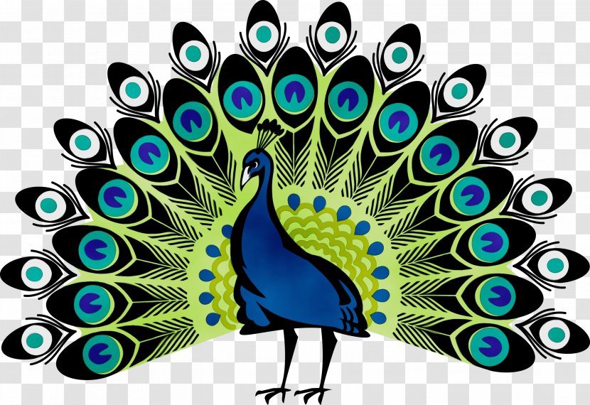 Peacock Drawing - Feather - Tail Beak Transparent PNG