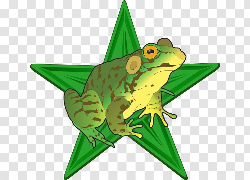 True Frog Amphibian Vertebrate Edible Transparent PNG