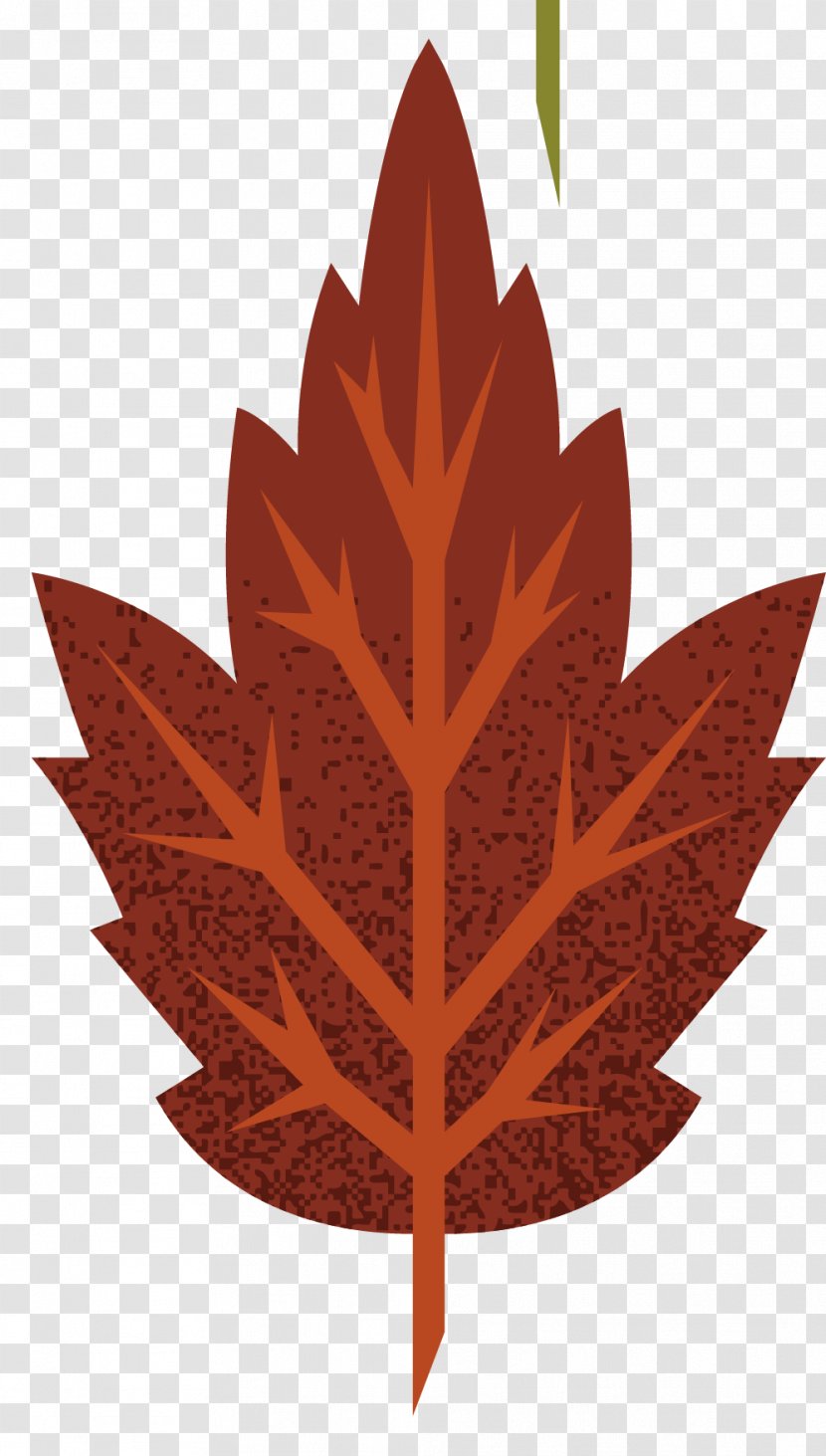Maple Leaf Autumn - Tree - Leaves Collection Vector Material Transparent PNG