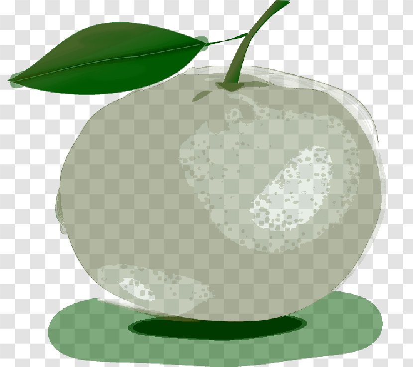 Product Design Superfood Apple - Tree - Tangerine Transparent PNG