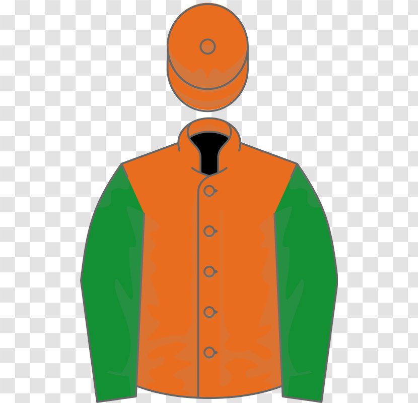 Horse Racing Thyestes Chase Hurdling Thoroughbred - Williamson Magar And Co Ltd Transparent PNG