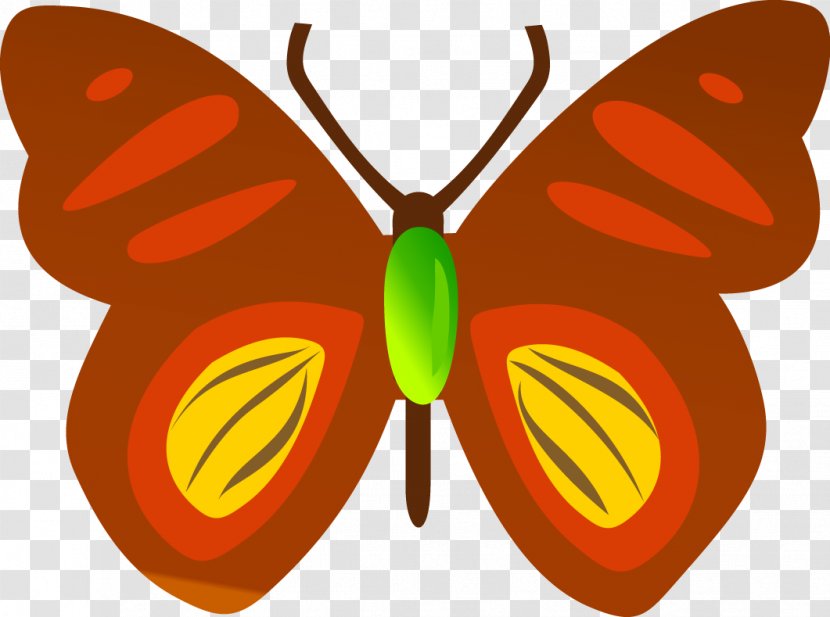 Butterfly Insect Clip Art - Arthropod - Butterflies Vector Transparent PNG