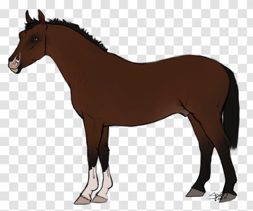 The Sims 3: Pets Nez Perce Horse Appaloosa Akhal-Teke 3 Stuff Packs - Pack Animal - Potus Transparent PNG