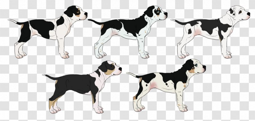 Dog Breed English Foxhound American Harrier Companion - Bred Pit Transparent PNG