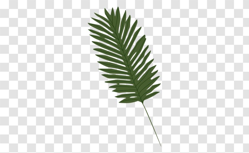 Leaf Arecaceae Clip Art - Plant Stem - Palm Leaves Transparent PNG