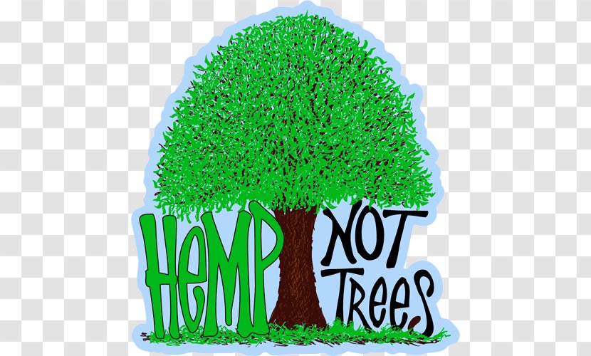 Paper Hemp Cannabis Legalization Pulp - Plant Transparent PNG