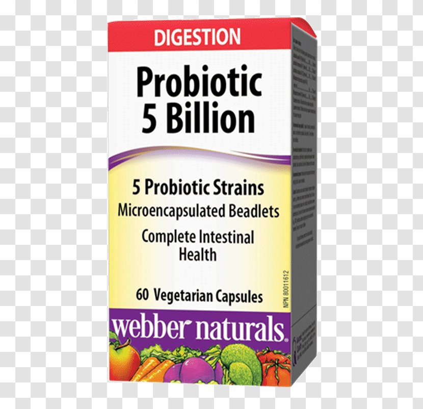 Dietary Supplement Probiotic Lactobacillus Acidophilus Health Gastrointestinal Tract - Healthy Digestion Transparent PNG