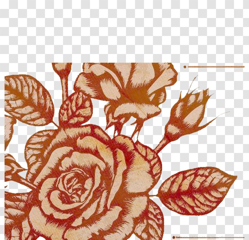Beach Rose Rosaceae - Petal - European-style Retro Decoration Transparent PNG