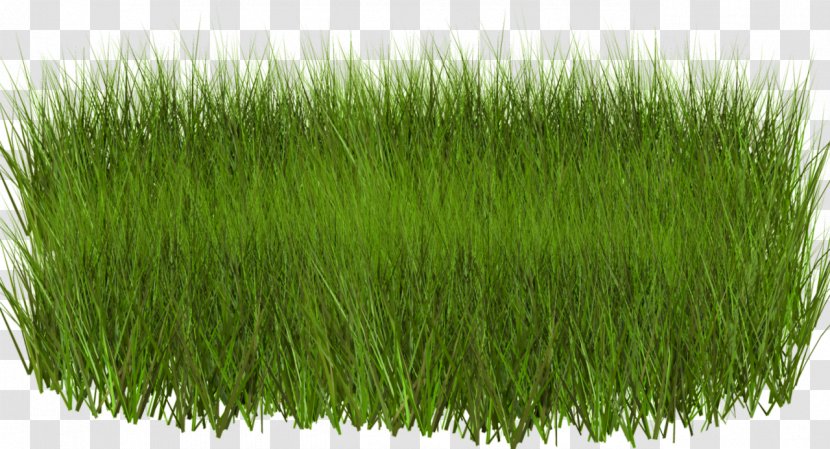 Download Grasses Clip Art - Image Resolution - Landscape Green Transparent PNG