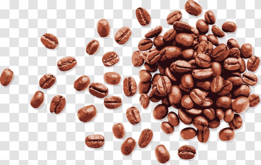 Coffee Bean Espresso - Cocoa - Vector Hand-painted Beans Transparent PNG