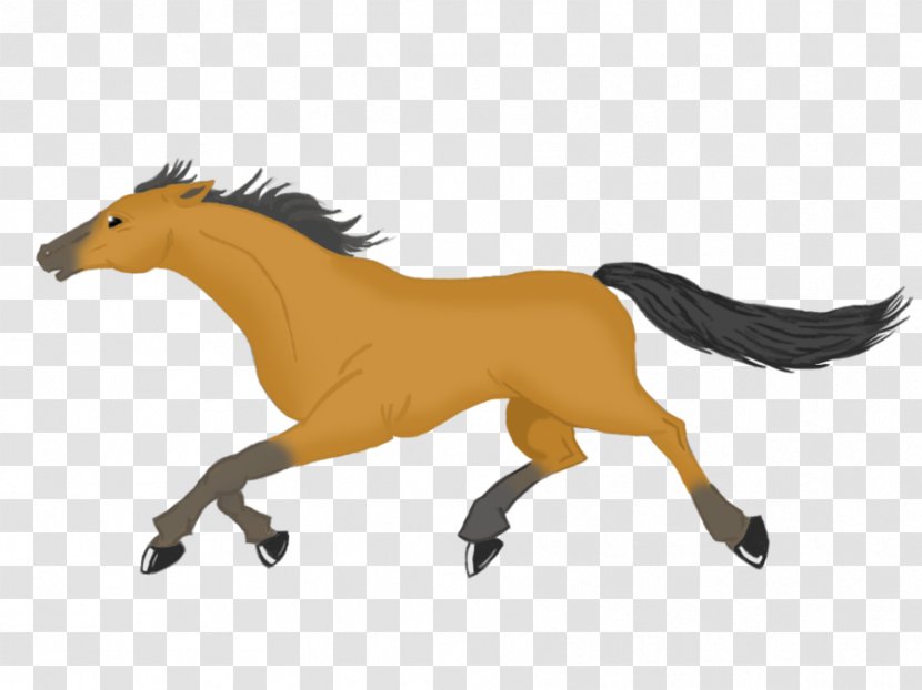 Mustang Foal Stallion Colt Pony - Carnivora - Cartoon Horse Gallop Transparent PNG