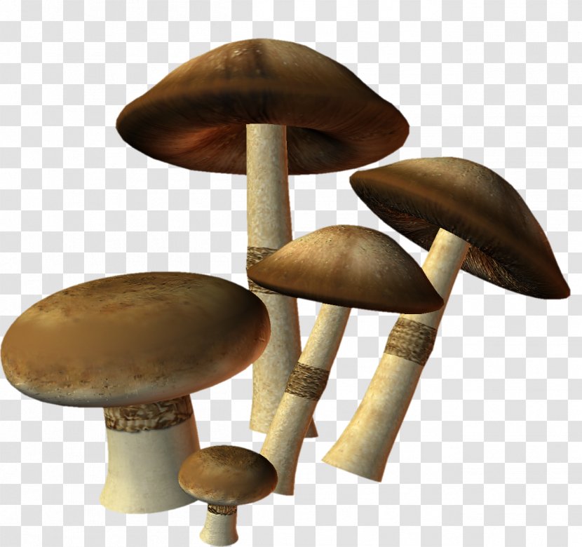 Edible Mushroom Agaricus Clip Art Transparent PNG