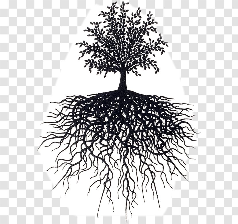 Reading The Allegorical Intertext Tree Life Design Editorial Root Transparent PNG