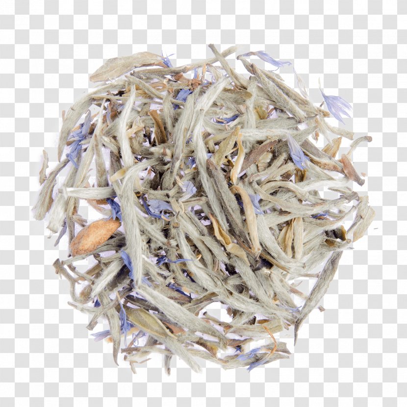 Whitebait Baihao Yinzhen Anchovies As Food Anchovy - Fuding White Tea Transparent PNG