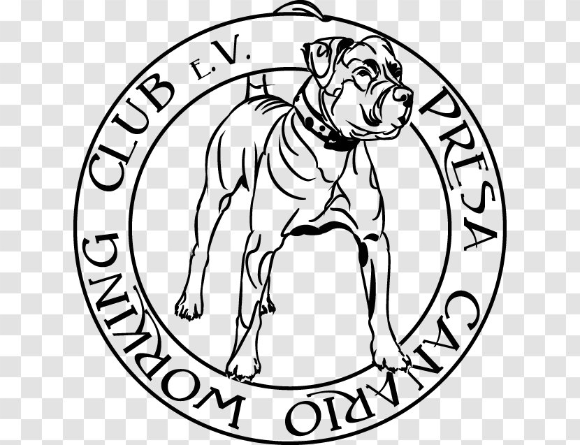 Dog Breed Presa Canario Dogo Argentino Non-sporting Group Puppy Transparent PNG