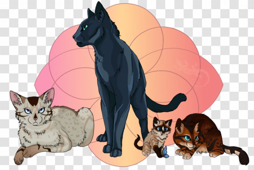 Kitten Whiskers Dog Cartoon - Cat Transparent PNG