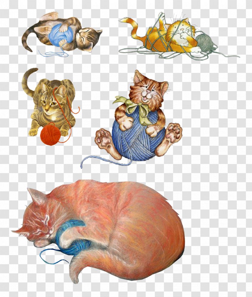 Cat - Like Mammal - Small To Medium Sized Cats Transparent PNG