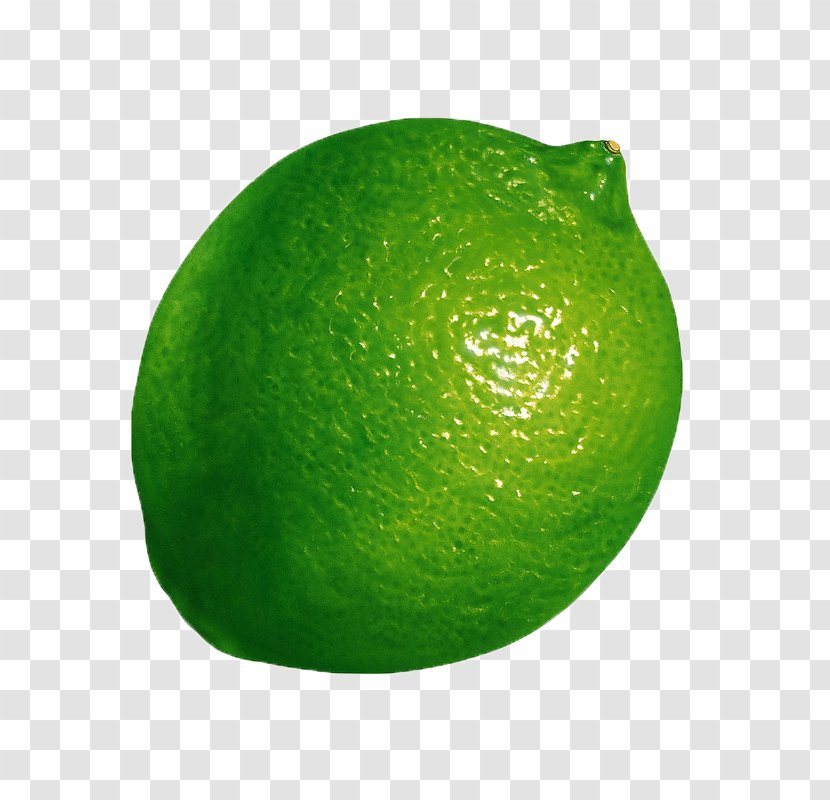 Persian Lime Lemon-lime Drink Key - Citrus Junos - Fresh Lemon Transparent PNG