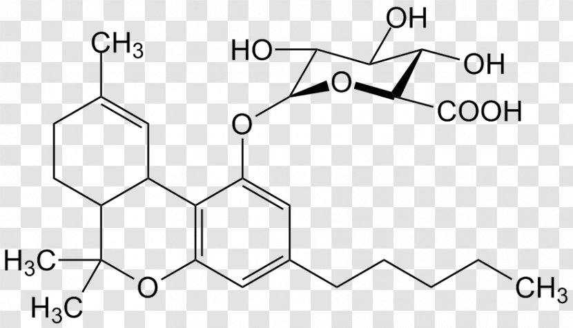 Tetrahydrocannabinol Cannabis Molecule Endocannabinoid System - Watercolor Transparent PNG