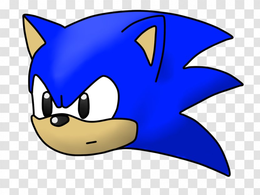 Sonic Dash Adventure The Hedgehog Shadow Drawing Transparent PNG