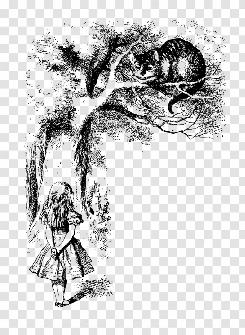 Cheshire Cat Alice's Adventures In Wonderland The Mad Hatter Queen Of Hearts White - Visual Arts Transparent PNG