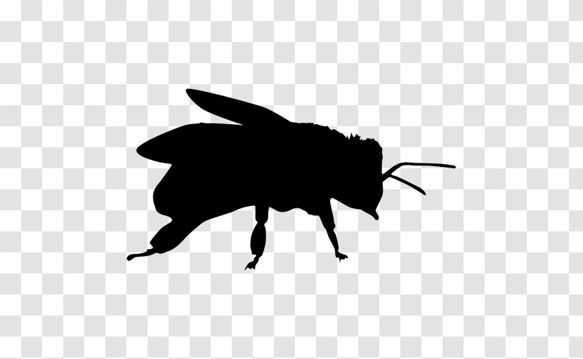 Silhouette Insect Drawing Honey Bee Clip Art - Solitary Animal Transparent PNG