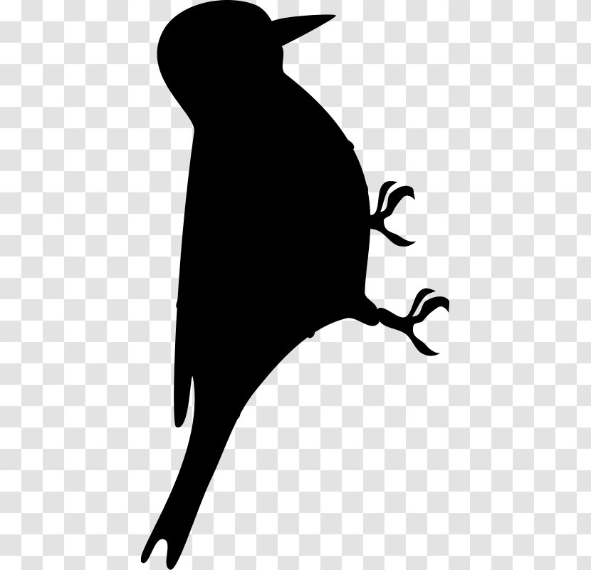 Beak Clip Art Silhouette Headgear Black M - Plant - Marine Mammal Transparent PNG