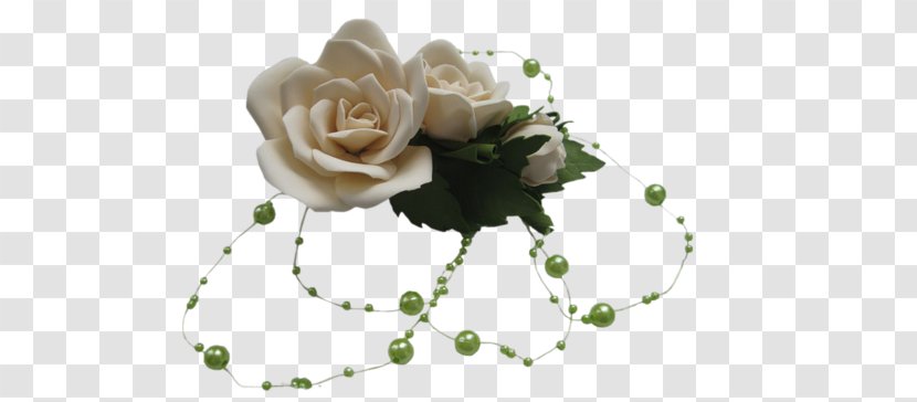 Garden Roses Cut Flowers - Flower - Rose Transparent PNG