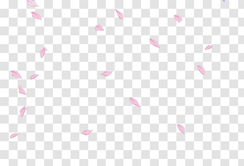 Petal Cherry Blossom Flower Image Transparent PNG