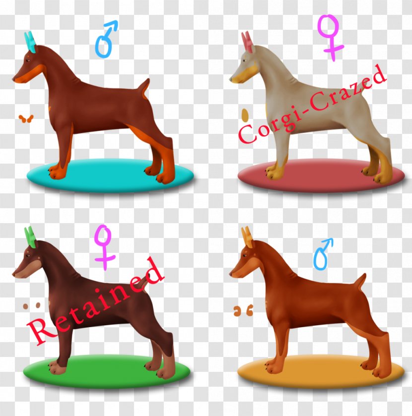 Dog Breed Mustang Foal Stallion - Horse Transparent PNG