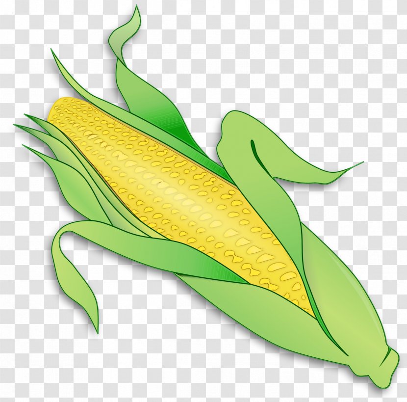 Leaf Watercolor - Arugula - Corn On The Cob Transparent PNG