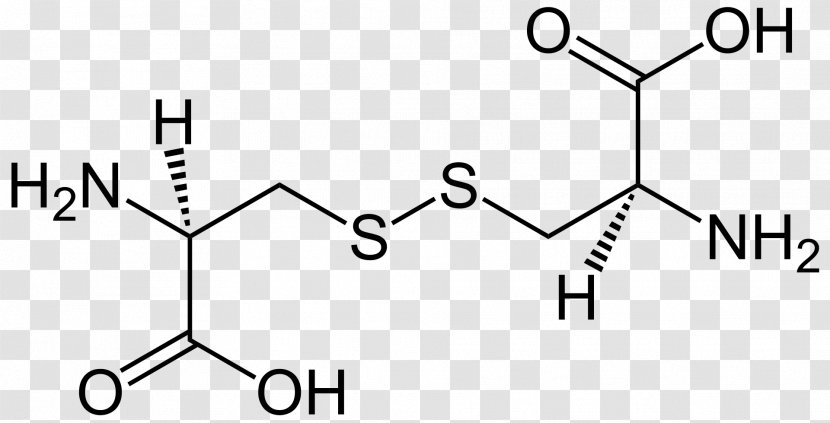 Zwitterion Amino Acid Aspartic Ethylenediaminetetraacetic - Heart - Tree Transparent PNG