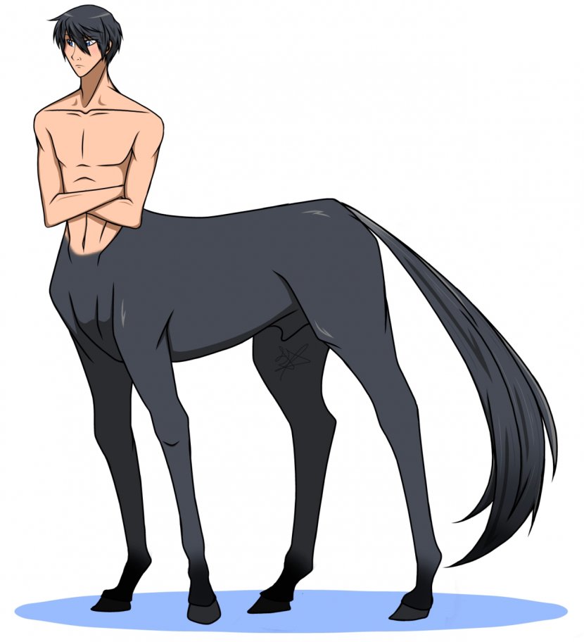 Pony Slenderman Centaur DeviantArt Male - Flower Transparent PNG