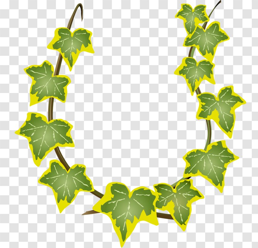Green Leaves Rattan - Leaf - Ivy Transparent PNG
