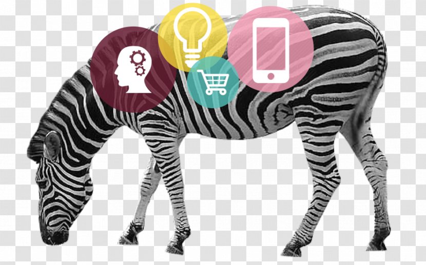 Clip Art - Neck - Zebra Safari Transparent PNG