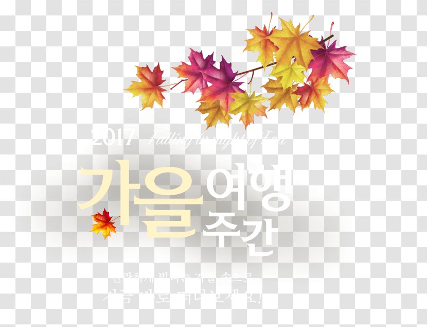 South Korea 한국관광협회중앙회 Ministry Of Education Culture, Sports And Tourism Organization - Fall Title Box Transparent PNG