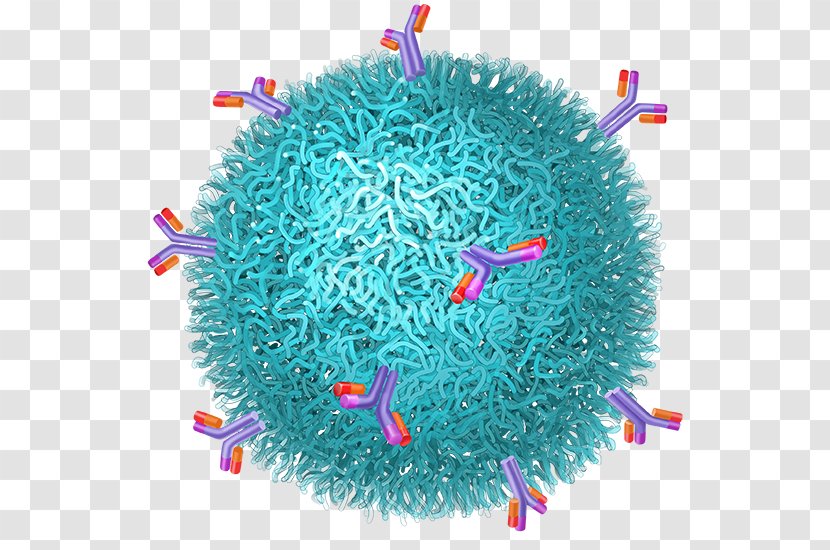 Magnetic Nanoparticles Superparamagnetism Craft Magnets Superparamagnetic Relaxometry - Hydrothermal Synthesis - Localization Transparent PNG