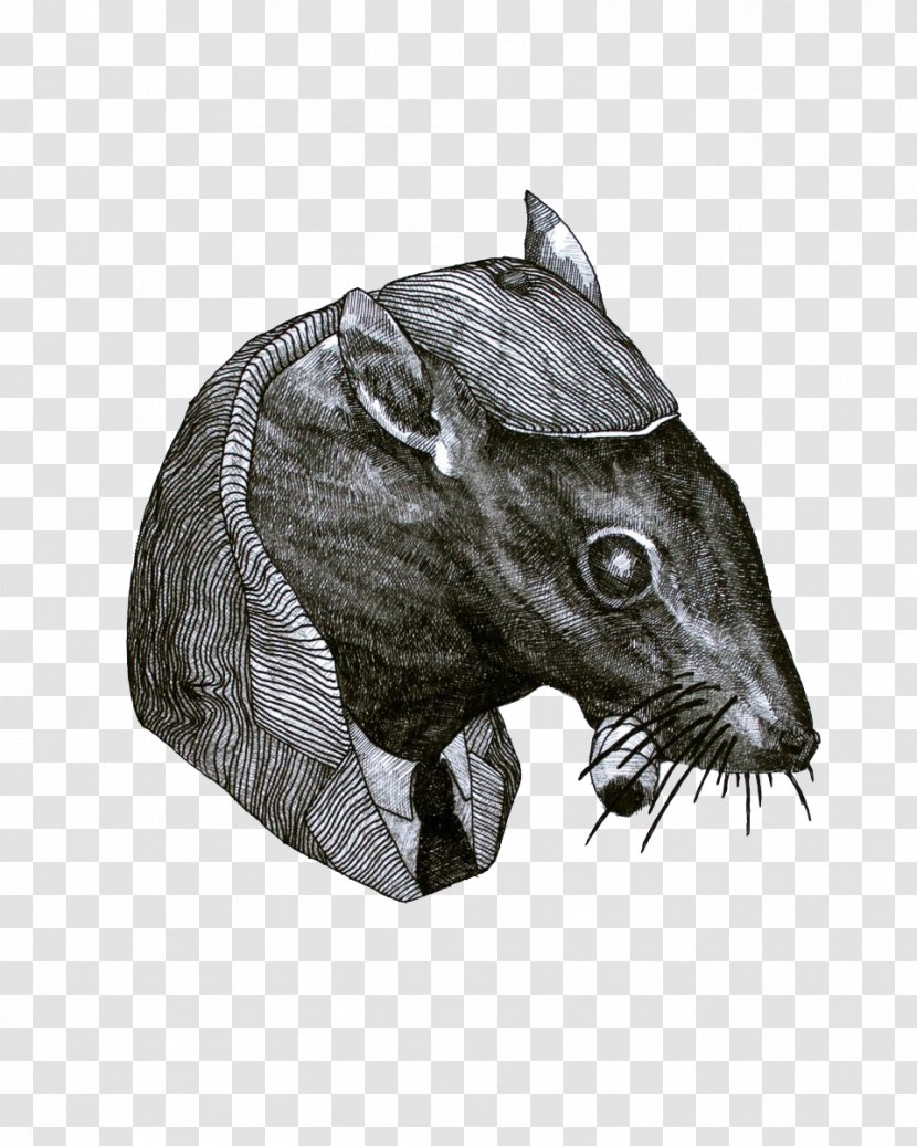 Rat Black And White Drawing Illustration - Fauna - Chimney Mouse Transparent PNG