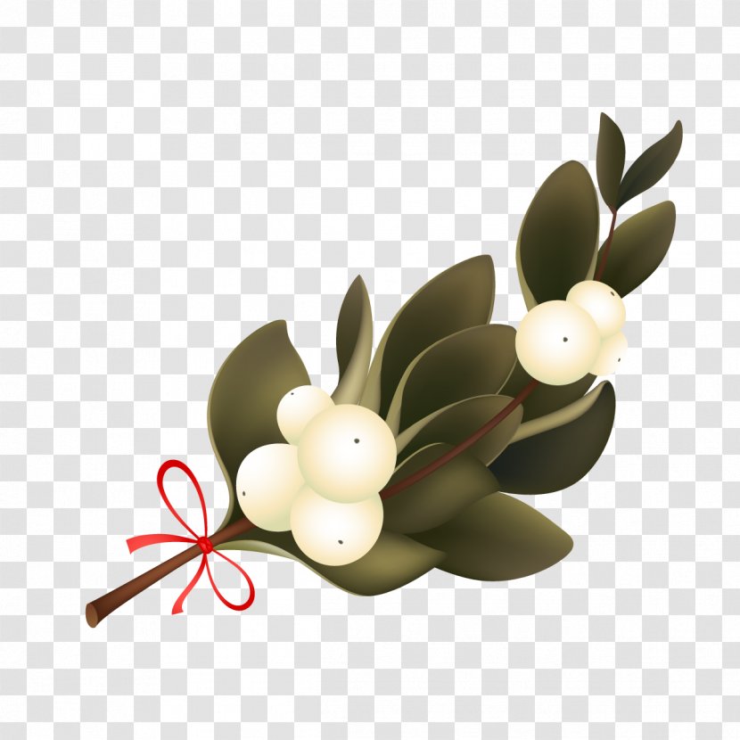 Vector Pear Tree - Flower - Plant Transparent PNG