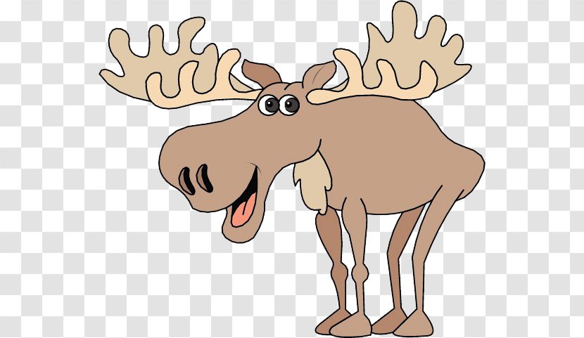 Bullwinkle J. Moose Deer Drawing Clip Art - Antler Transparent PNG