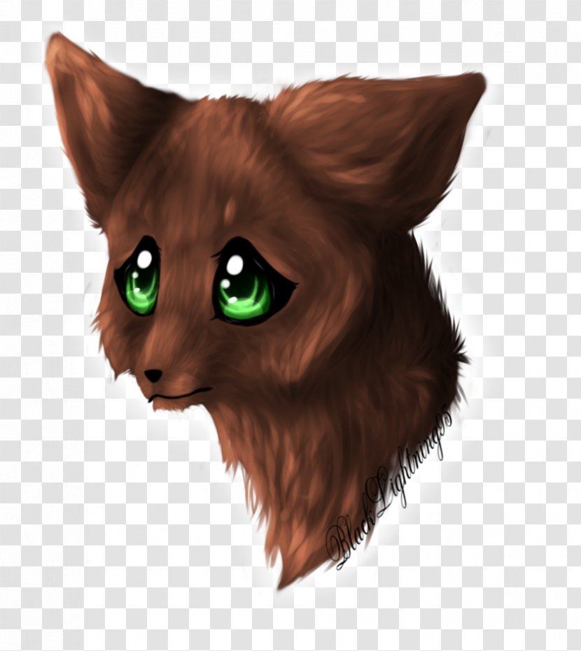 Whiskers Cat Red Fox Snout Fur - Claw - Warm-up Transparent PNG