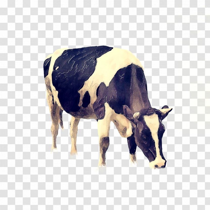 Cow Background - Grazing - Wildlife Pasture Transparent PNG