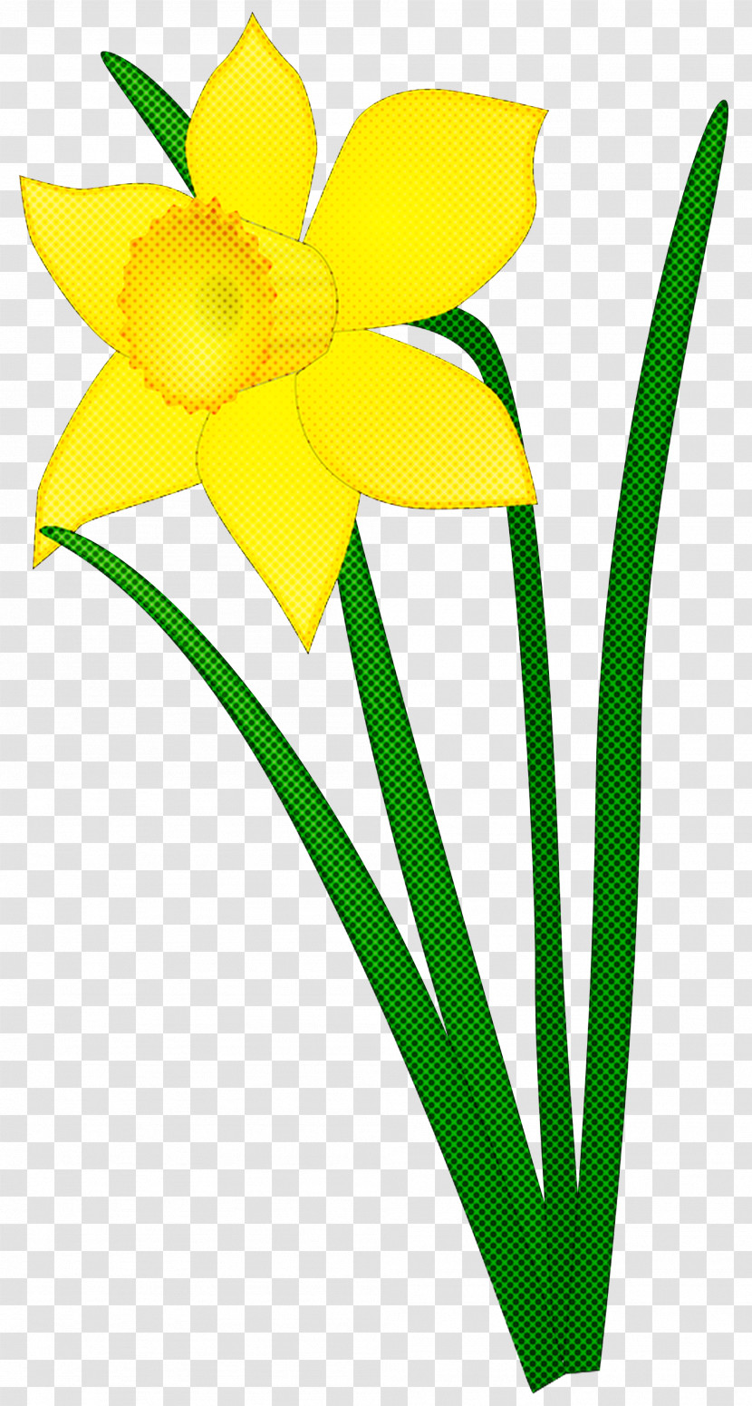 Floral Design Transparent PNG