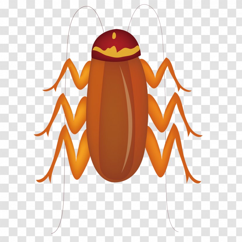 Spider Insect Euclidean Vector - Preview - Summer Insects Transparent PNG