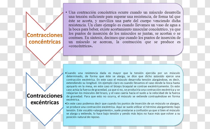 Document Line - Material - Isometricas Transparent PNG