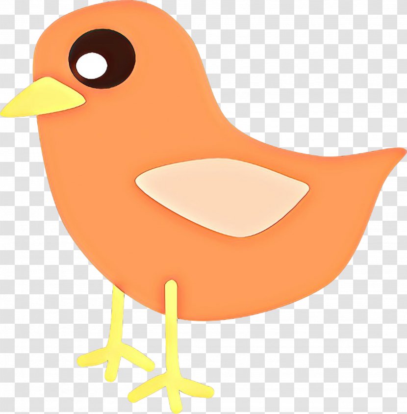 Orange - Beak Transparent PNG