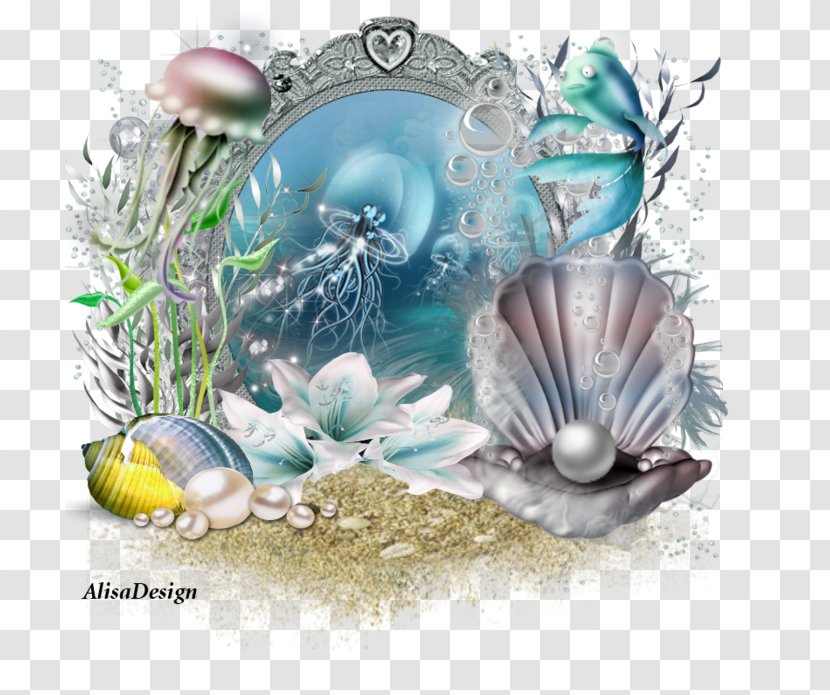 Desktop Wallpaper Marine Biology Computer Fish Transparent PNG