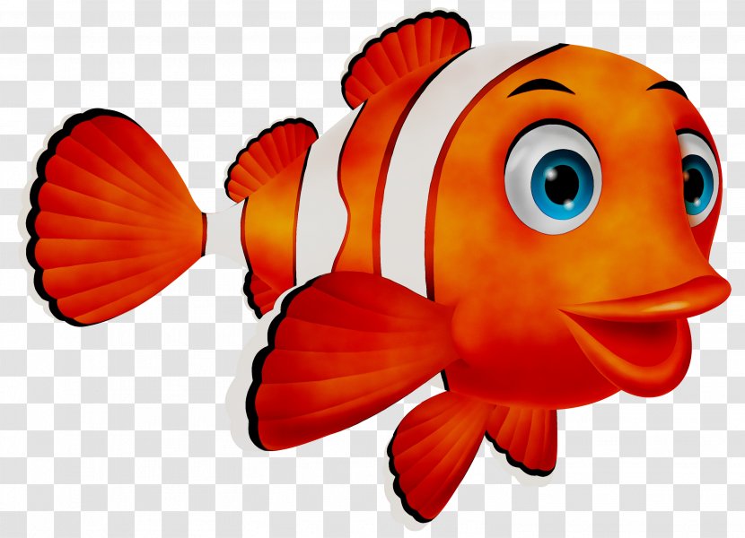 Vector Graphics Stock Photography Illustration Cartoon - Anemone Fish Transparent PNG