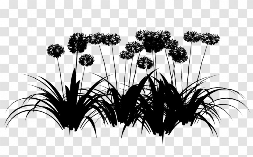 Flowering Plant Tree Plants - Heracleum Transparent PNG